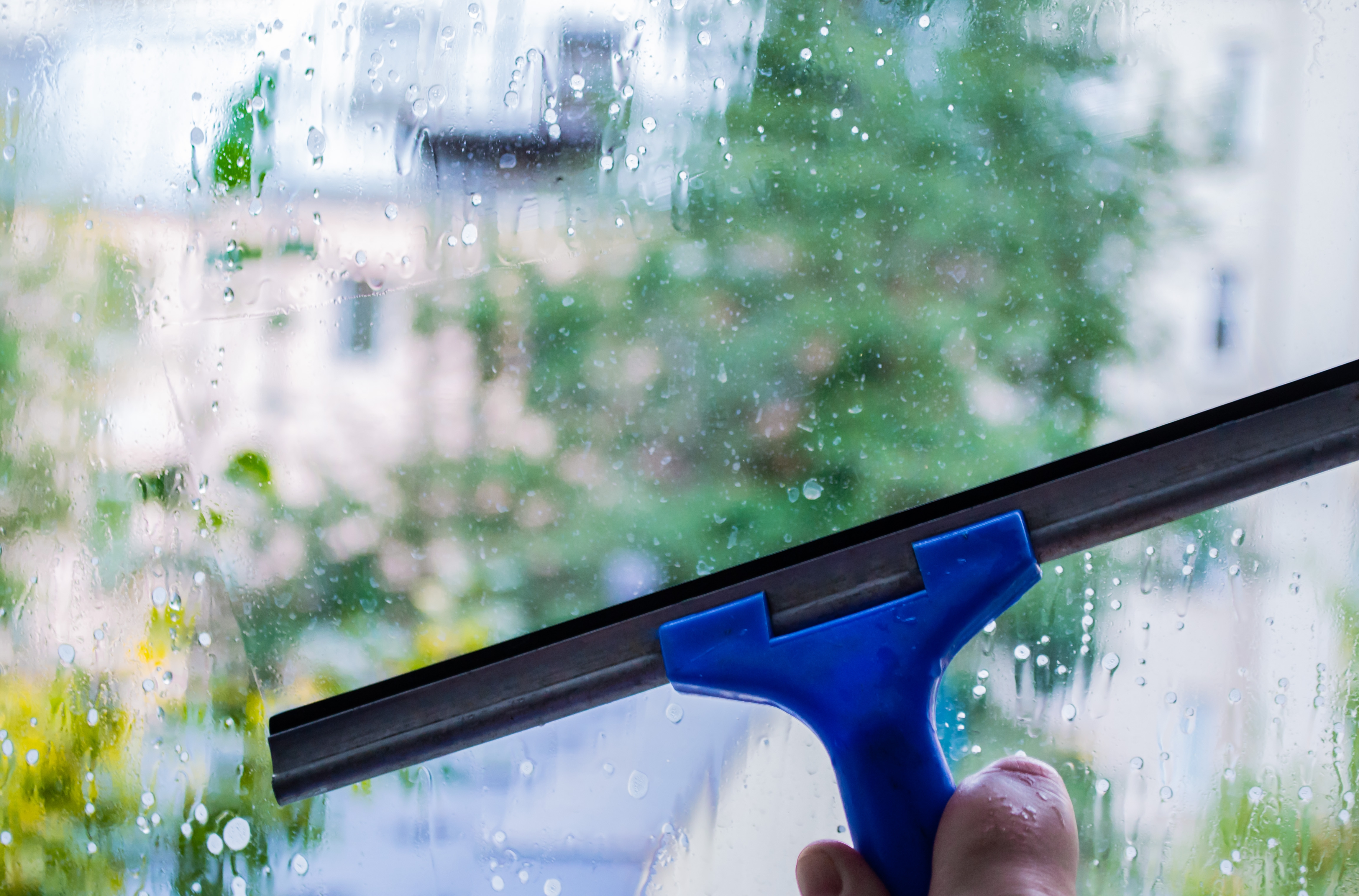 Professional window washing service